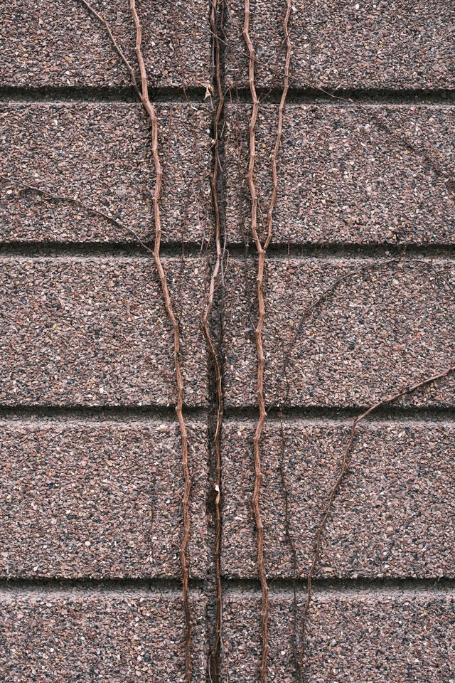 Berlin Textures image 13
