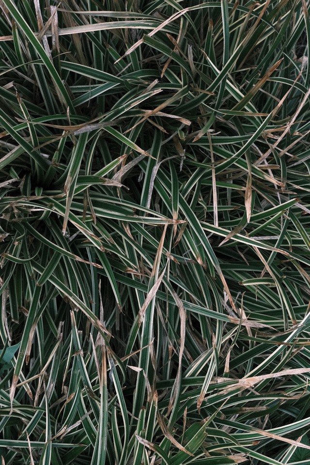 Berlin Textures image 16