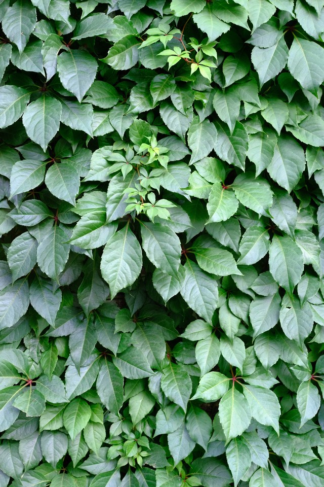 Berlin Textures image 17