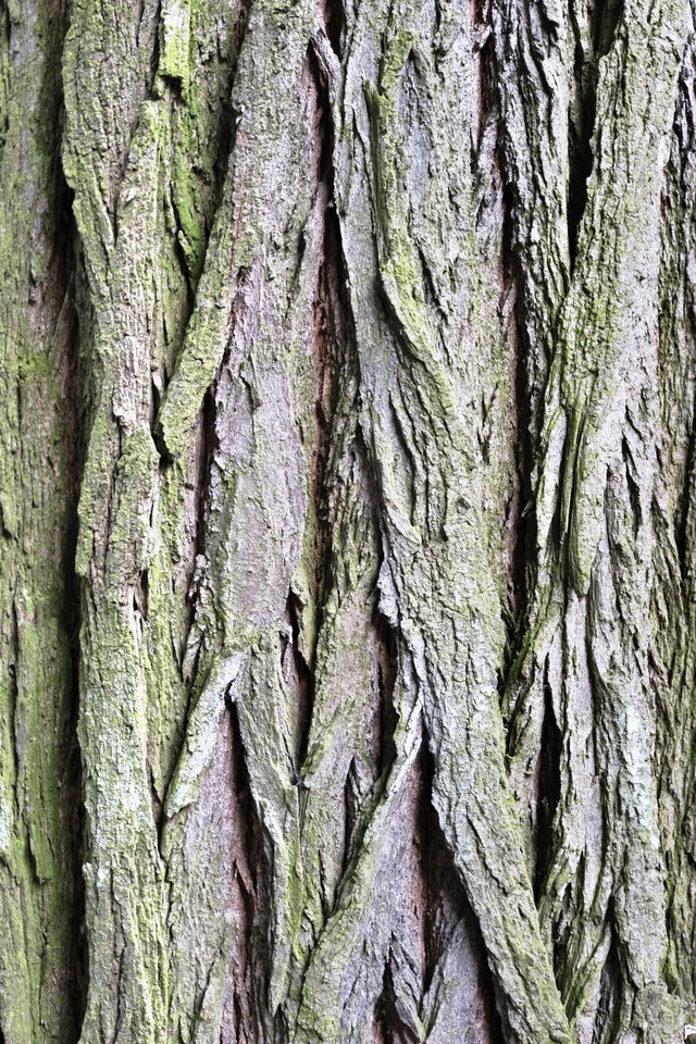 Berlin Textures image 18