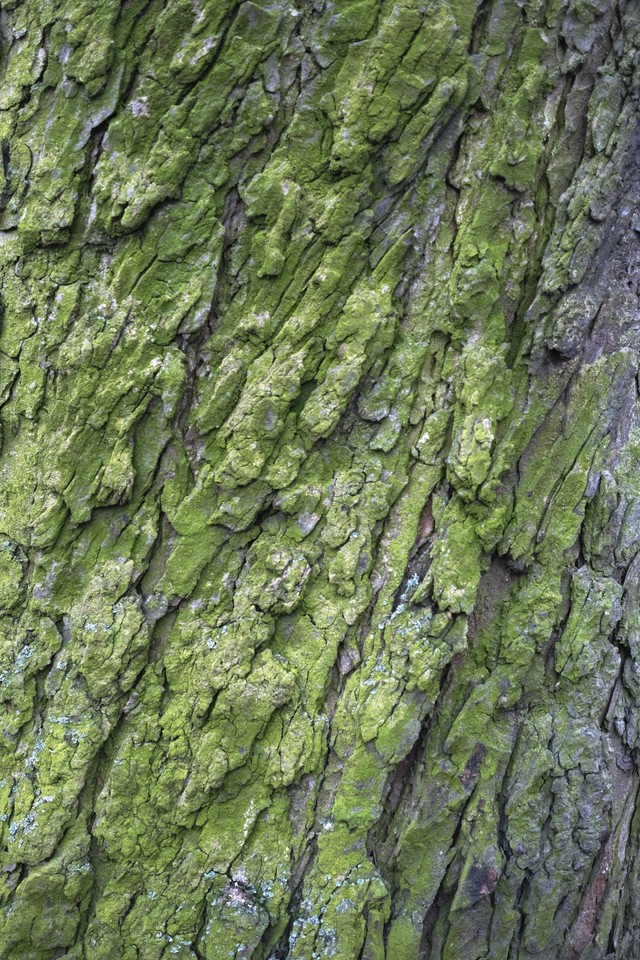 Berlin Textures image 28