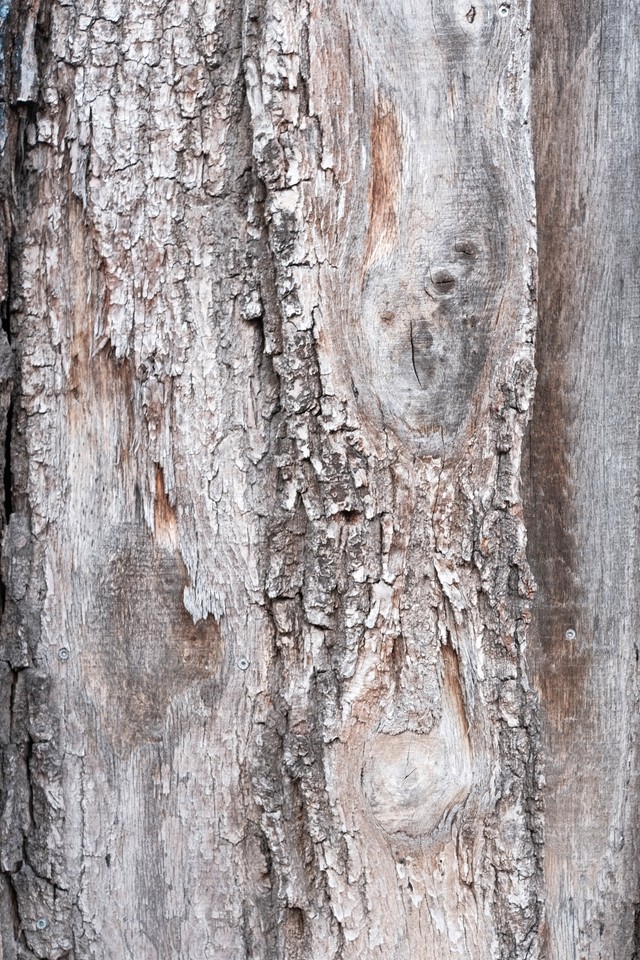 Berlin Textures image 31